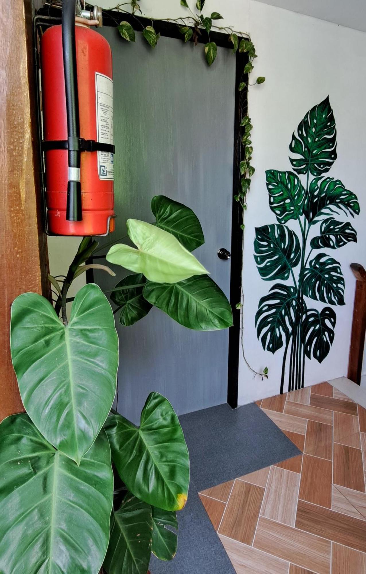 Bougainvillea Guesthouse San Juan  Exteriör bild
